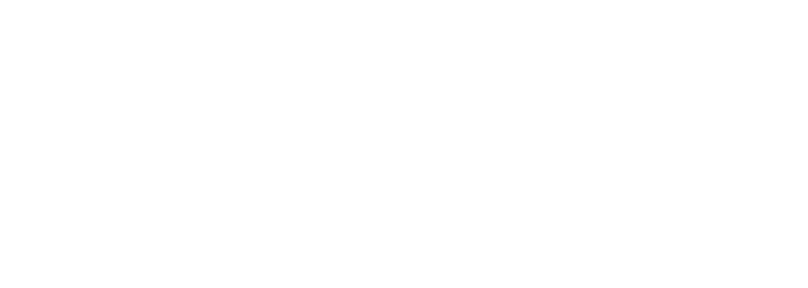 Berisha Logo